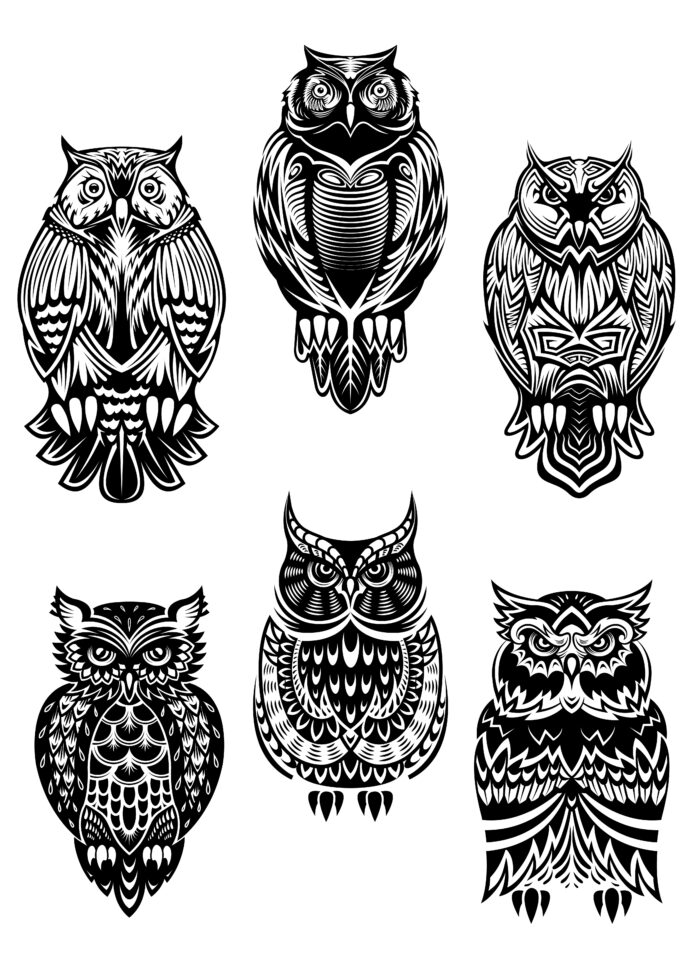 Eulen-Tattoo: Bedeutung und Stil – Alles, was du über das mystische Vogel-Motiv wissen musst Eulen-Tattoo: Bedeutung und Stil – Alles, was du über das mystische Vogel-Motiv wissen musst