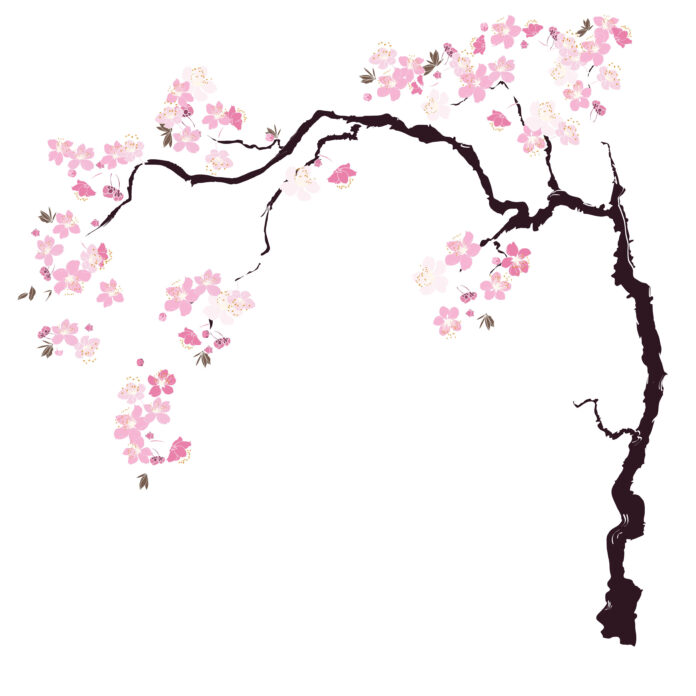 Kirschblüten-Tattoo Bedeutung, Stile und Design-Inspirationen für Dein nächstes Bodyart-Meisterwerk Kirschblüten-Tattoo Bedeutung, Stile und Design-Inspirationen für Dein nächstes Bodyart-Meisterwerk